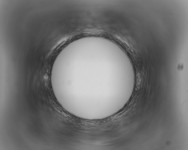 X0000096701254200802261556