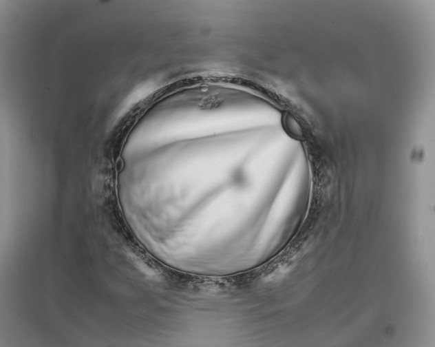 X0000096701255200802261556