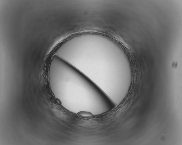 X0000096701256200802261556