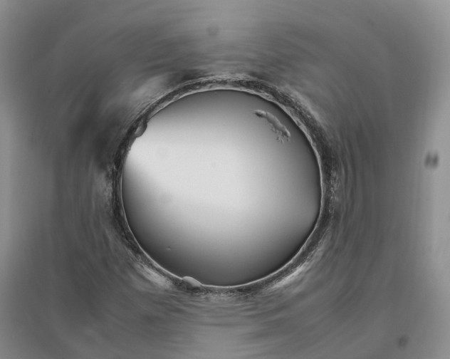 X0000096701257200802261556