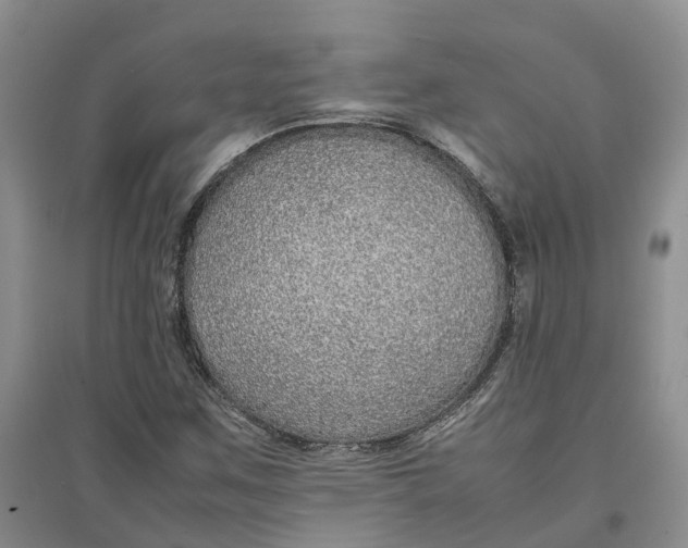 X0000096701259200802261556