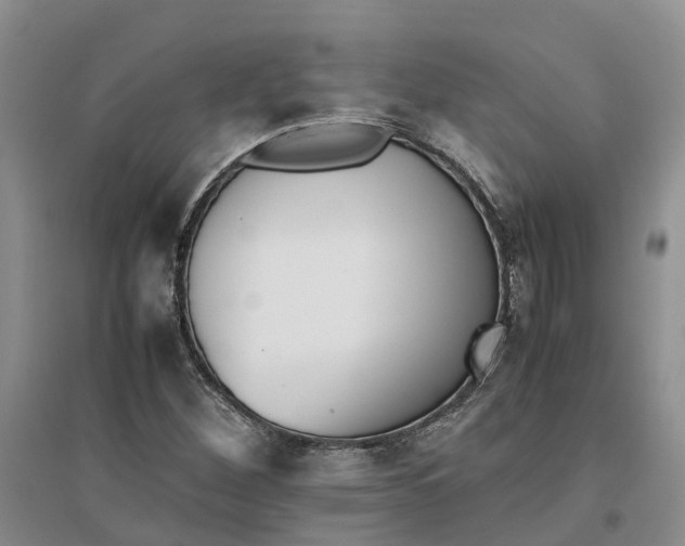 X0000096701260200802261556