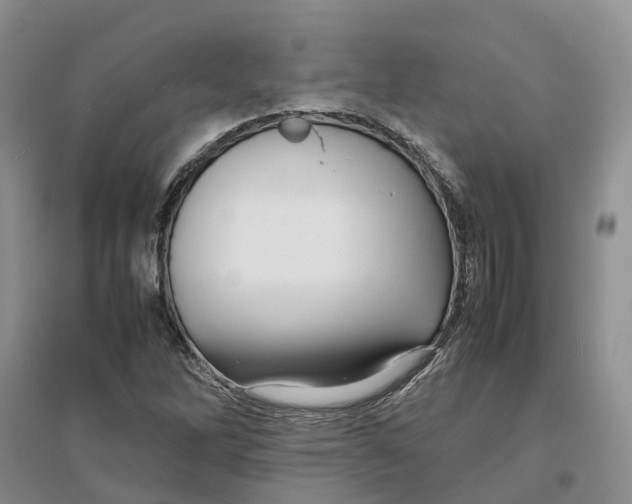 X0000096701262200802261556