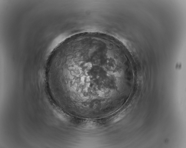 X0000096701263200802261556