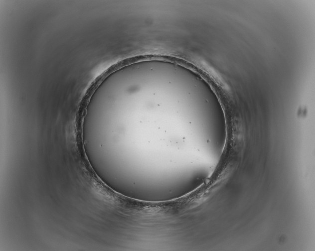 X0000096701264200802261556