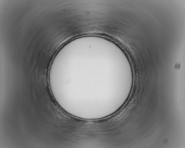 X0000096701265200802261556