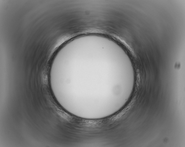 X0000096701266200802261556