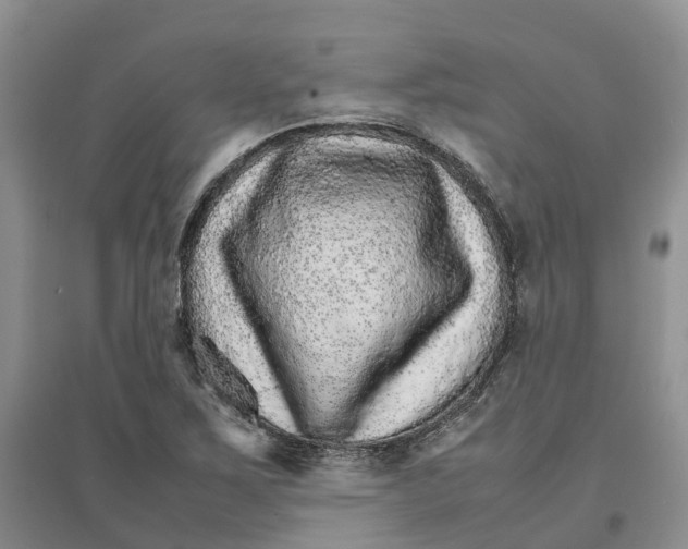 X0000096701267200802261556