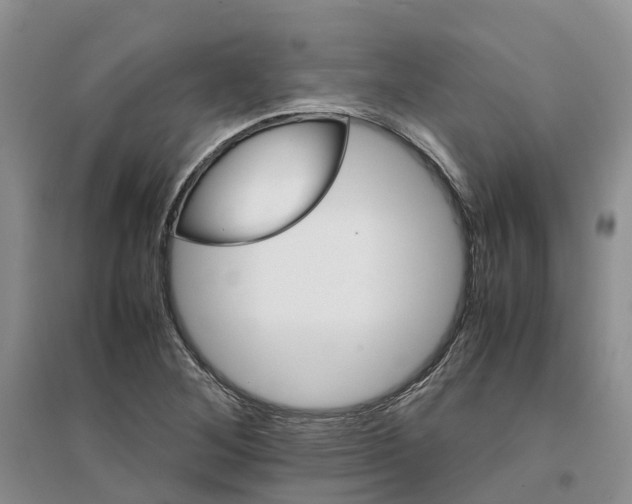 X0000096701268200802261556