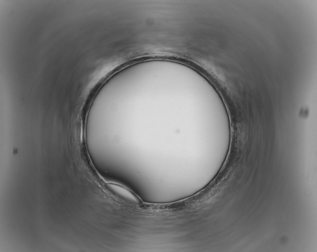 X0000096701269200802261556