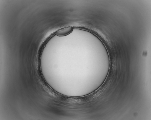 X0000096701270200802261556