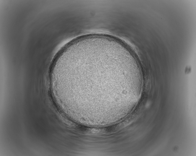 X0000096701271200802261556
