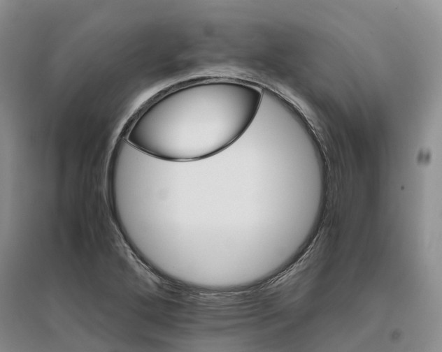 X0000096701272200802261556