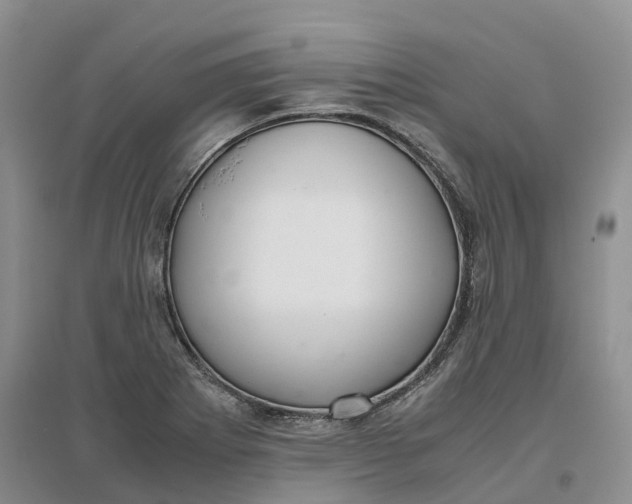 X0000096701273200802261556