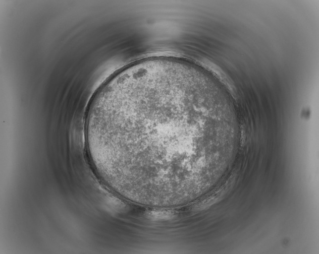X0000096701274200802261556