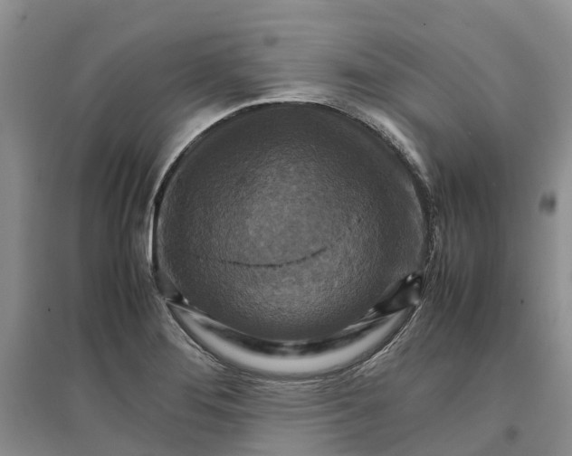 X0000096701276200802261556