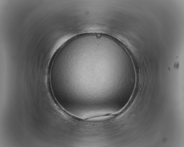 X0000096701277200802261556
