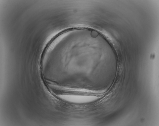X0000096701279200802261556