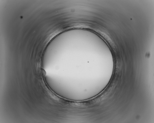 X0000096701281200802261556