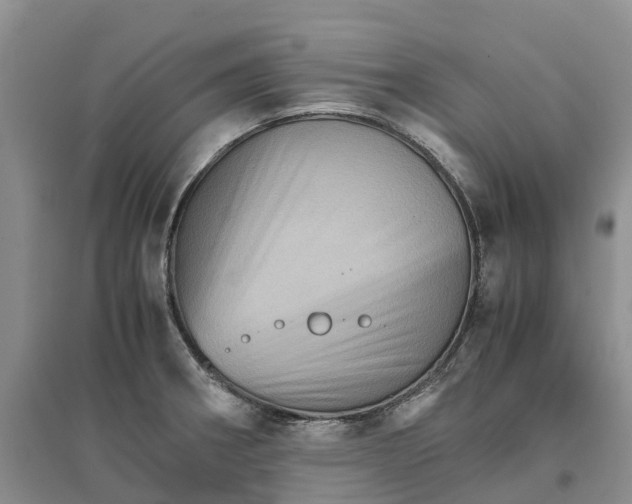X0000096701282200802261556