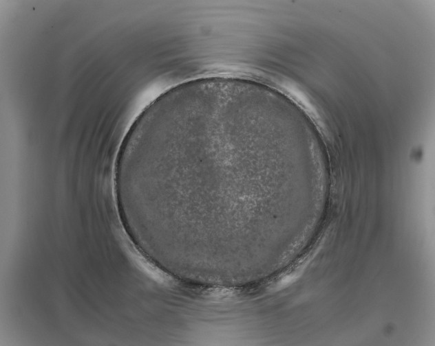 X0000096701283200802261556