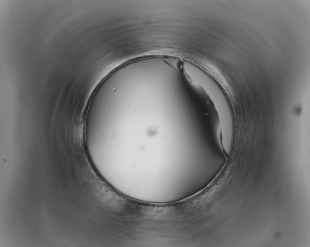X0000096701284200802261556