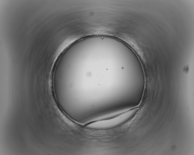 X0000096701285200802261556