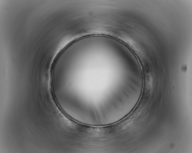 X0000096701286200802261556