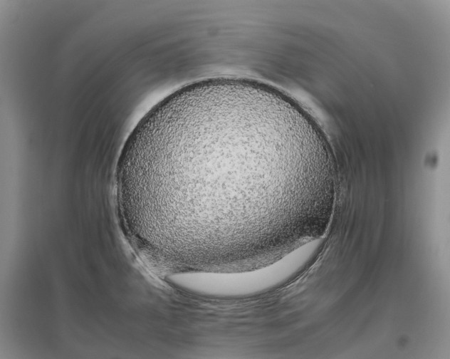X0000096701287200802261556