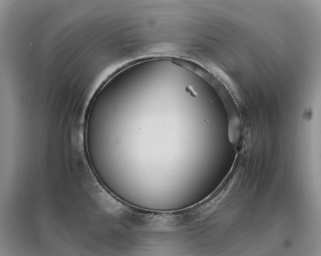 X0000096701288200802261556