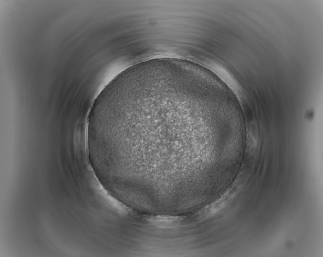 X0000096701290200802261556