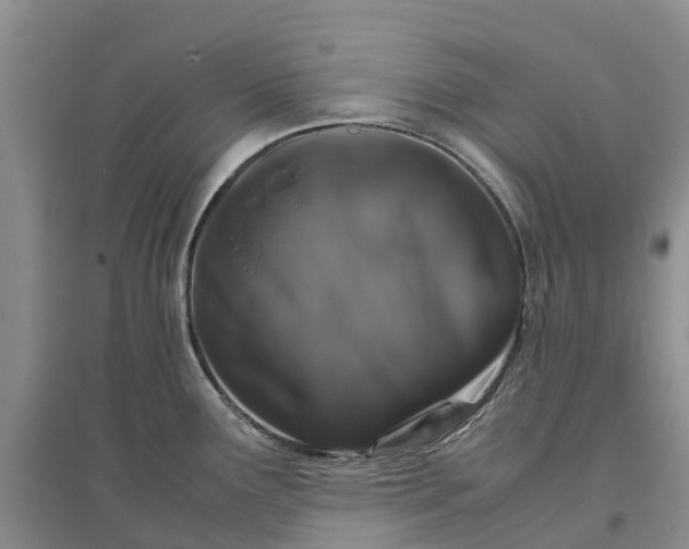 X0000096701291200802261556