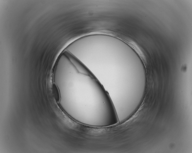 X0000096701292200802261556