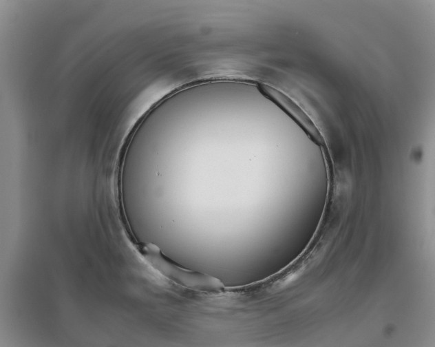 X0000096701293200802261556