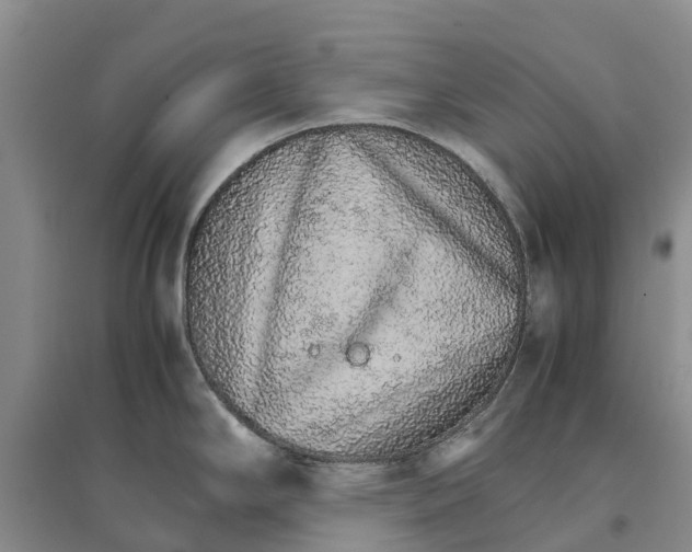 X0000096701294200802261556