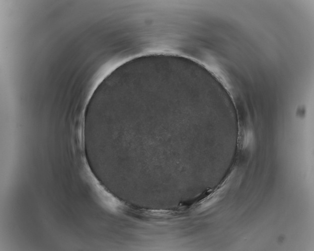 X0000096701295200802261556