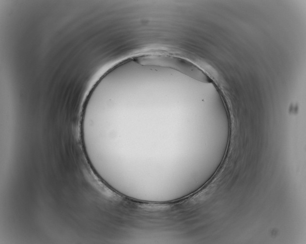 X0000096701296200802261556