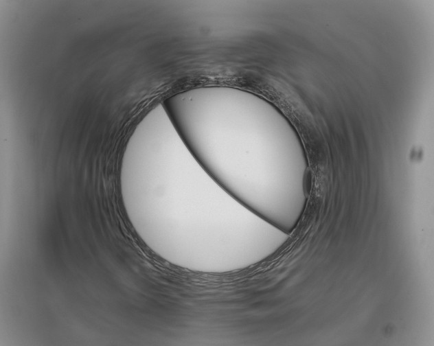 X0000096701298200802261555
