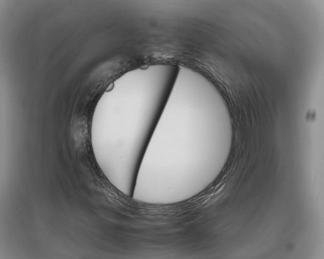 X0000096701299200802261555