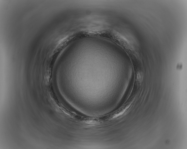 X0000096701300200802261555