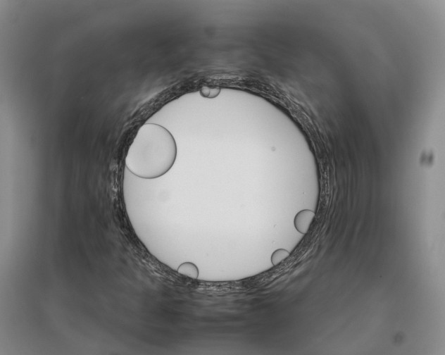 X0000096701301200802261555
