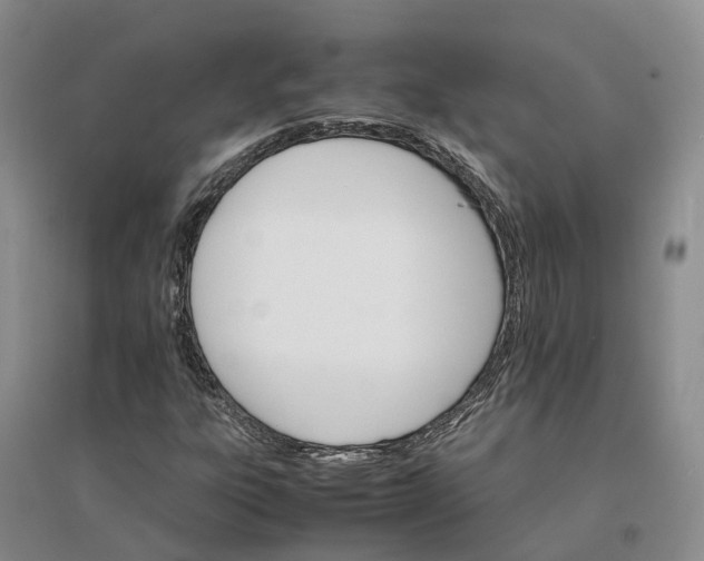 X0000096701303200802261555