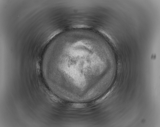 X0000096701305200802261555