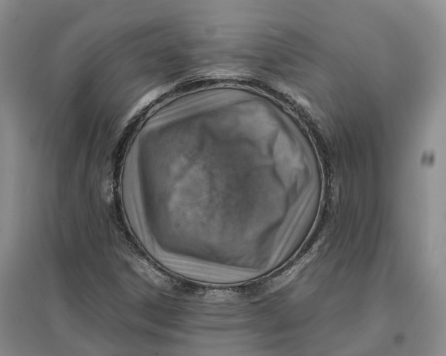 X0000096701306200802261555