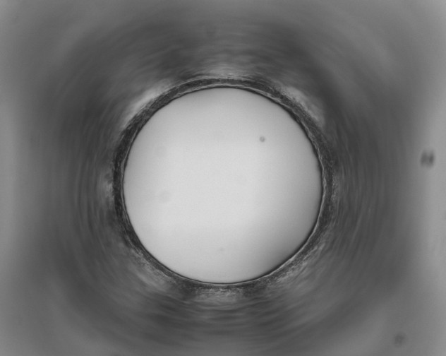 X0000096701307200802261555