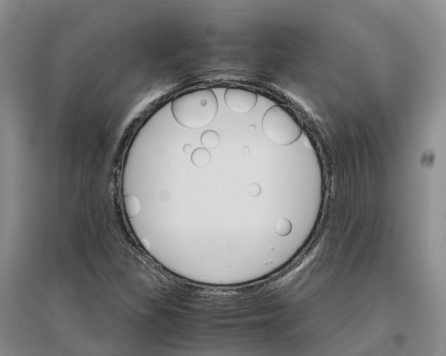 X0000096701309200802261555
