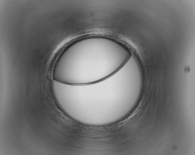 X0000096701310200802261555