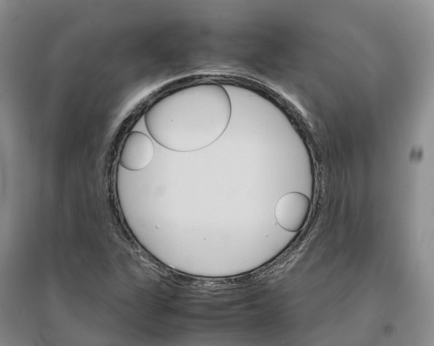 X0000096701311200802261555