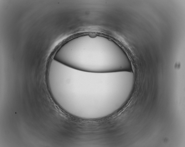 X0000096701312200802261555