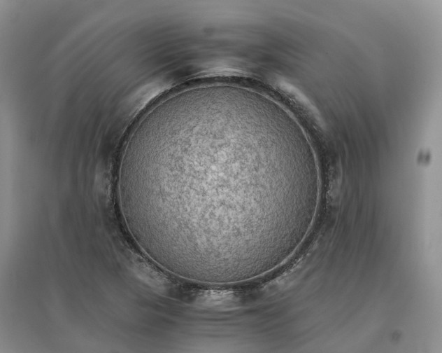 X0000096701313200802261555